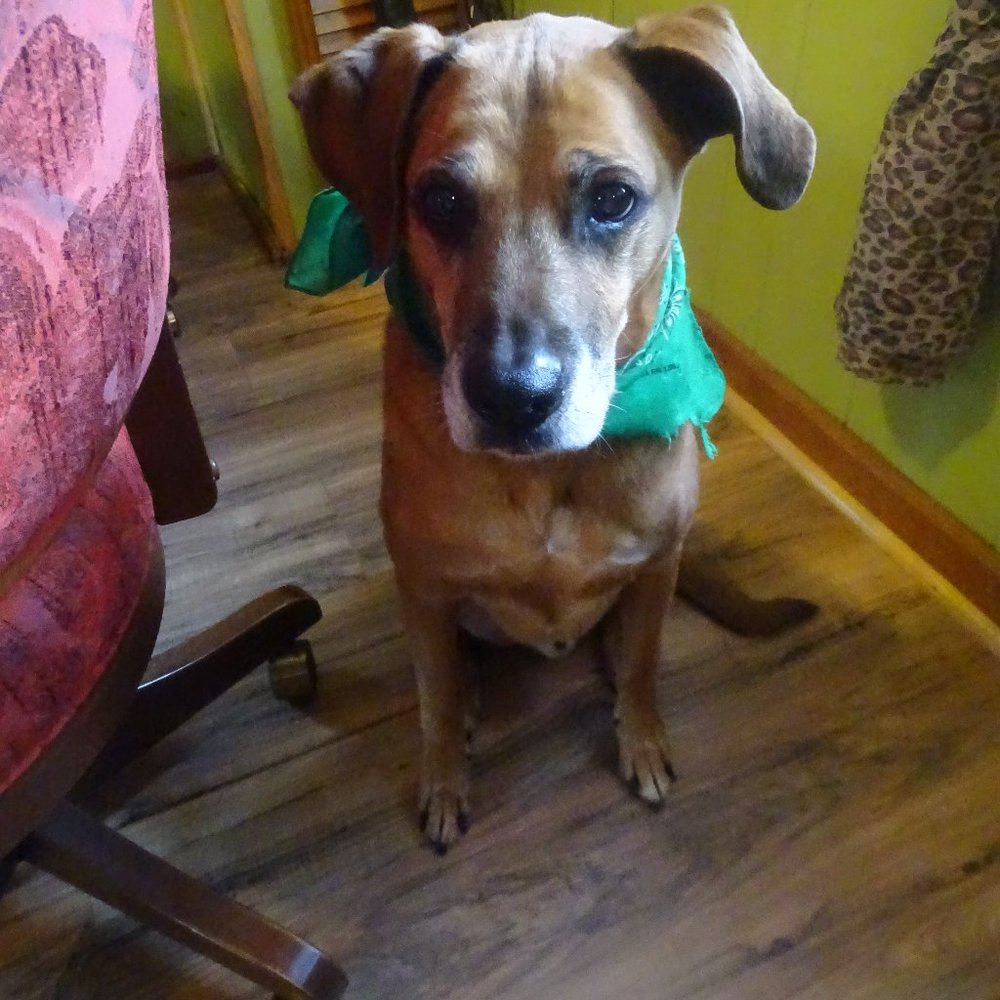 Any reasonable offer accepted.